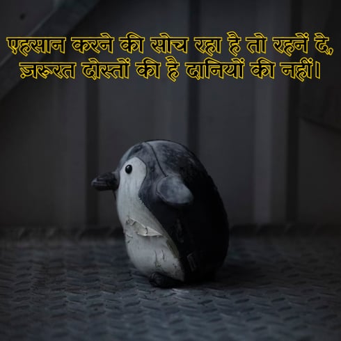 bewafa shayari photo